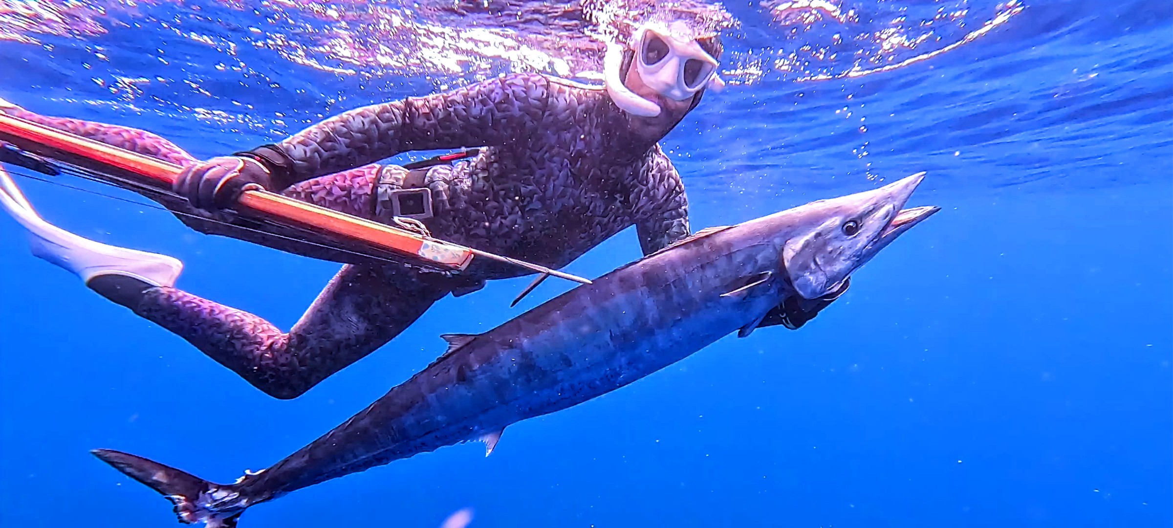 viaje pesca submarina la palma
