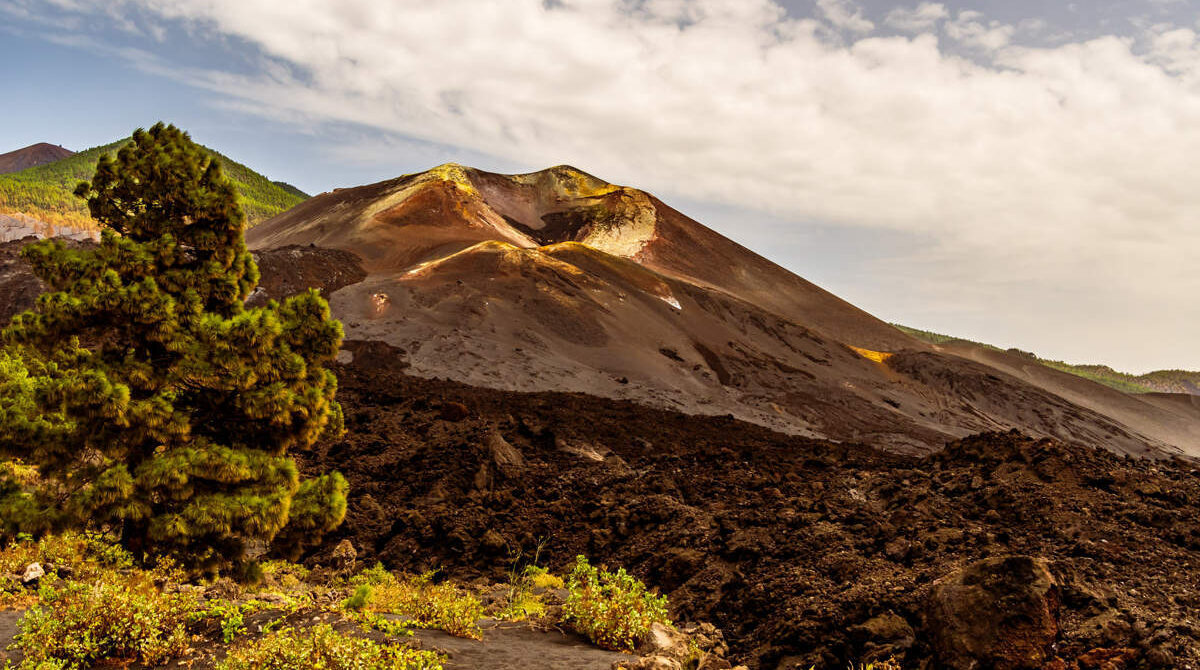 volcan la palma volcan la palma